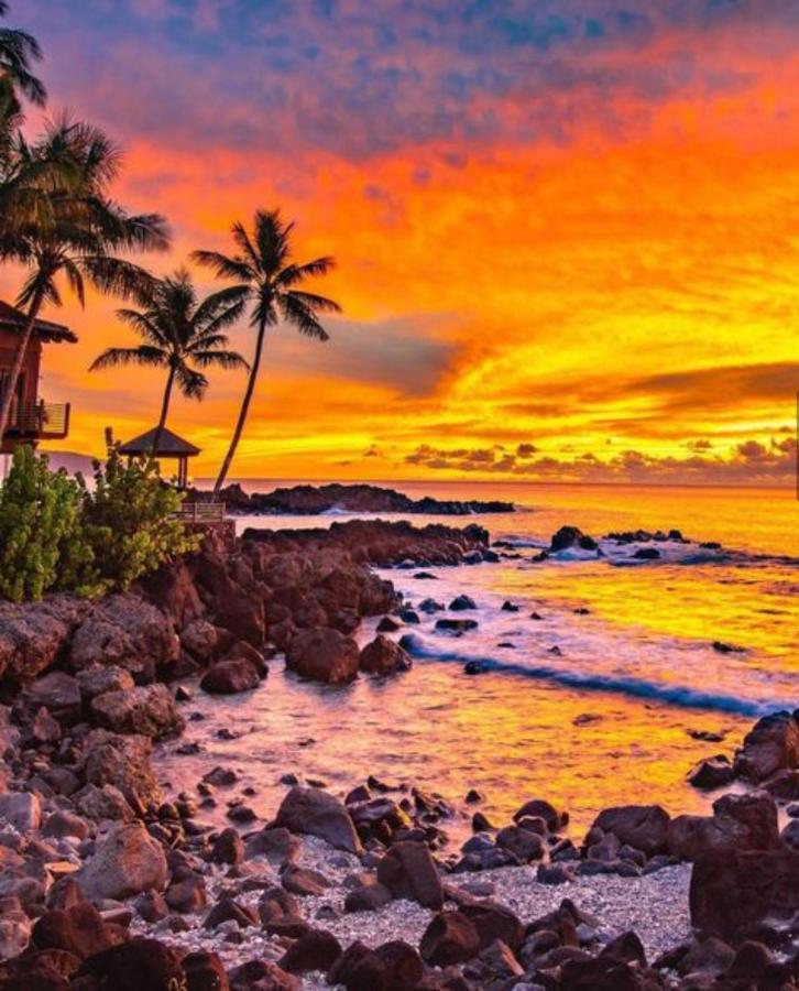 Готель Cute Off Grid Glampsite With Wifi- 5 Min From Haleiwa Town Екстер'єр фото